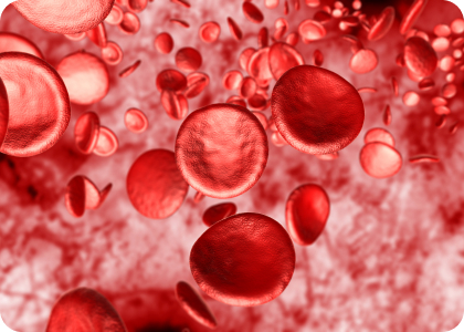 Increases blood flow